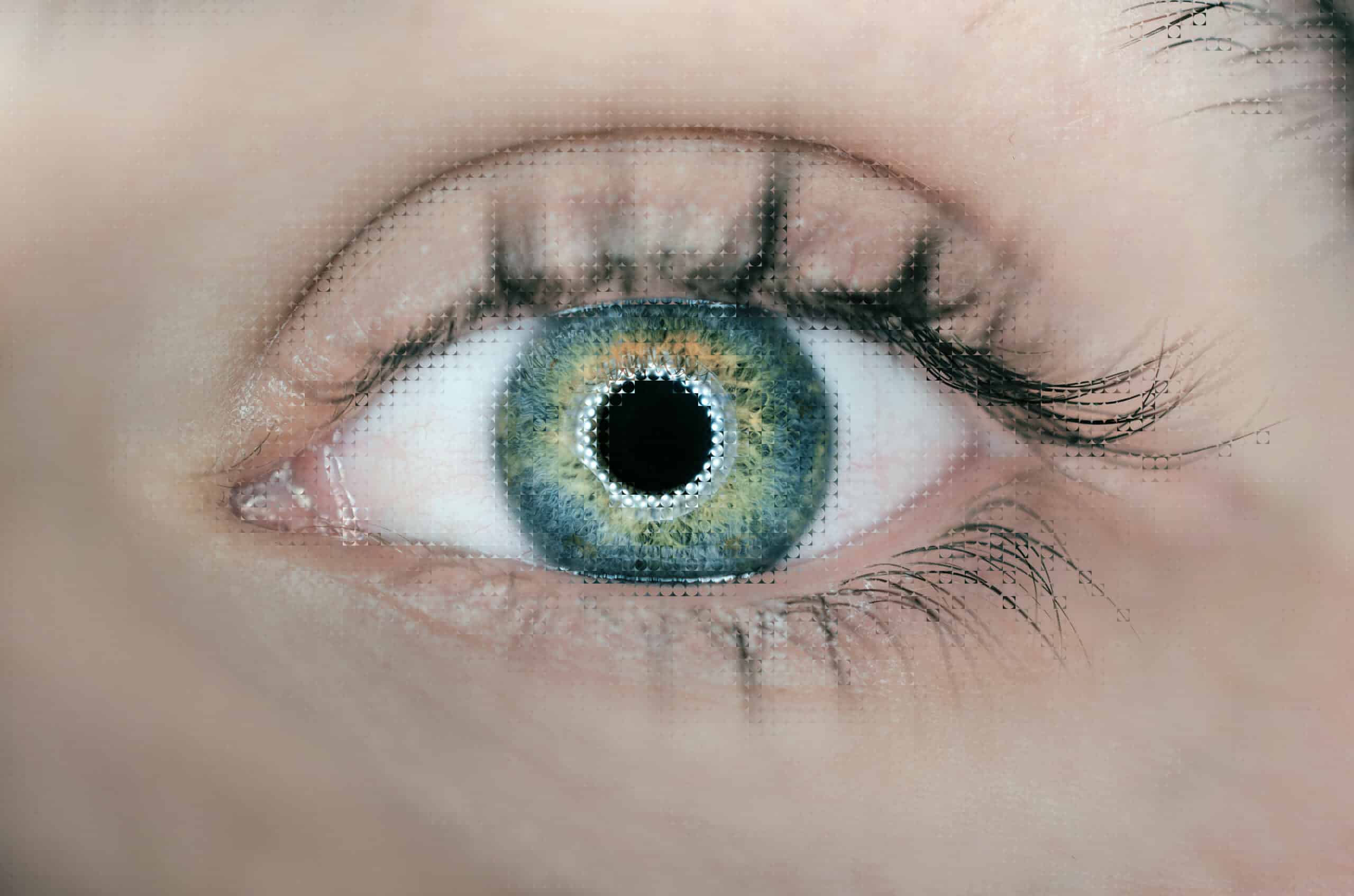 Contact CTA Image